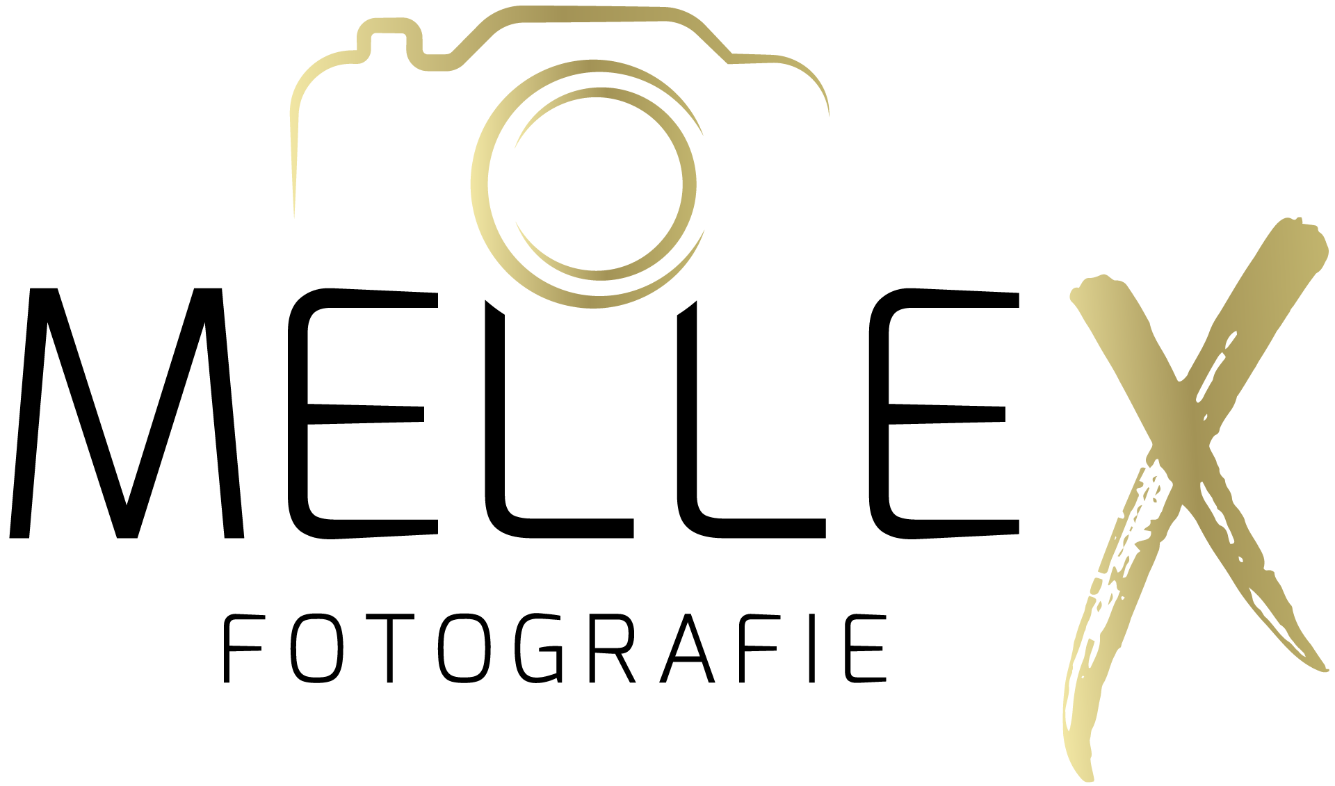 MELLEX_logo_RGB